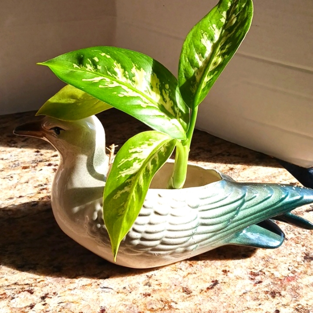CERAMIC DUCK PLANTER